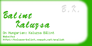 balint kaluzsa business card