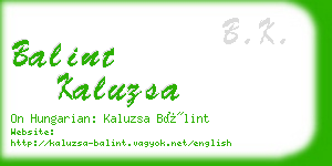 balint kaluzsa business card